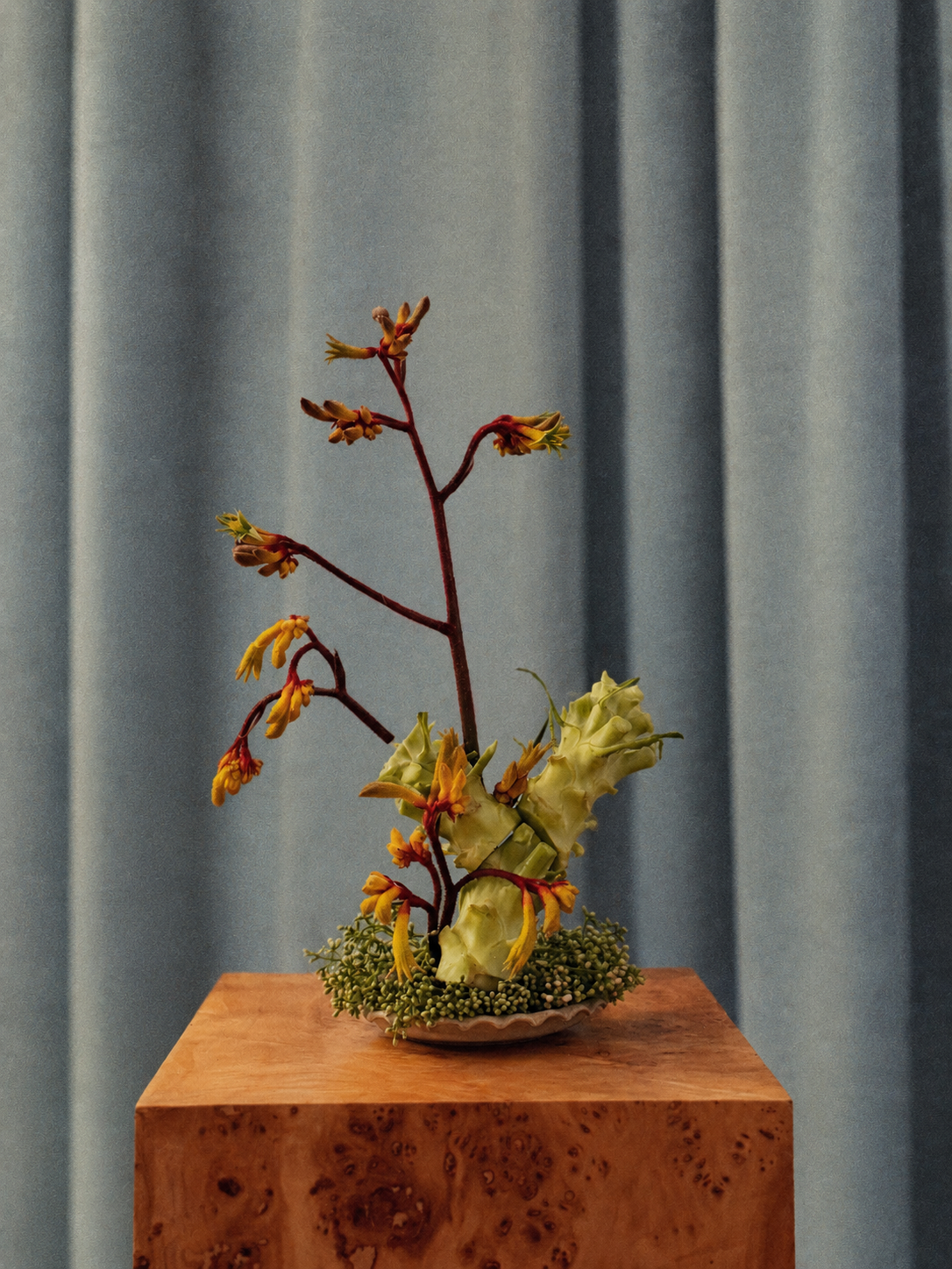 Sculptural arrangement made from broccoli stems
