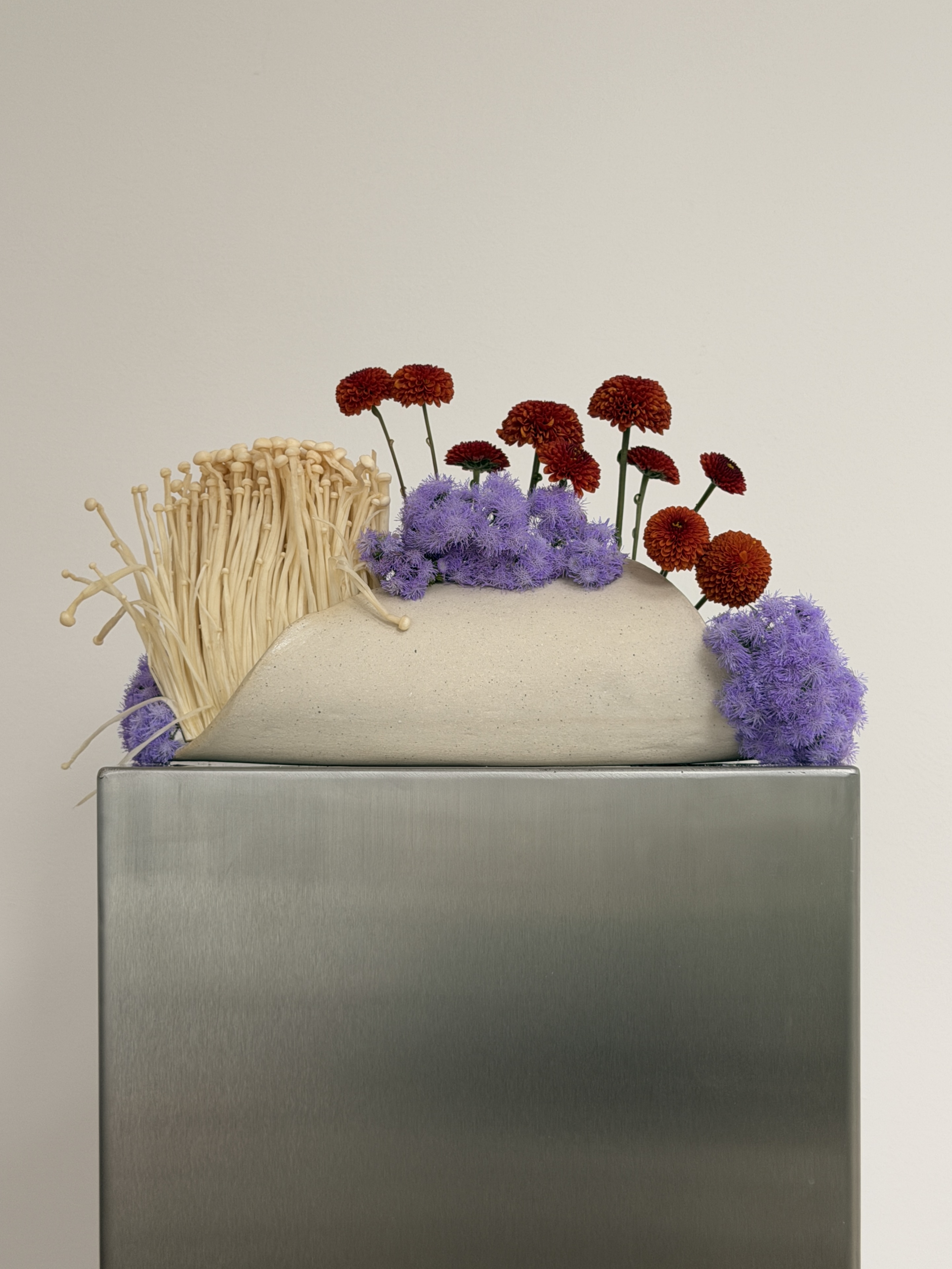 Close-up of enoki mushroom and chrysantheums