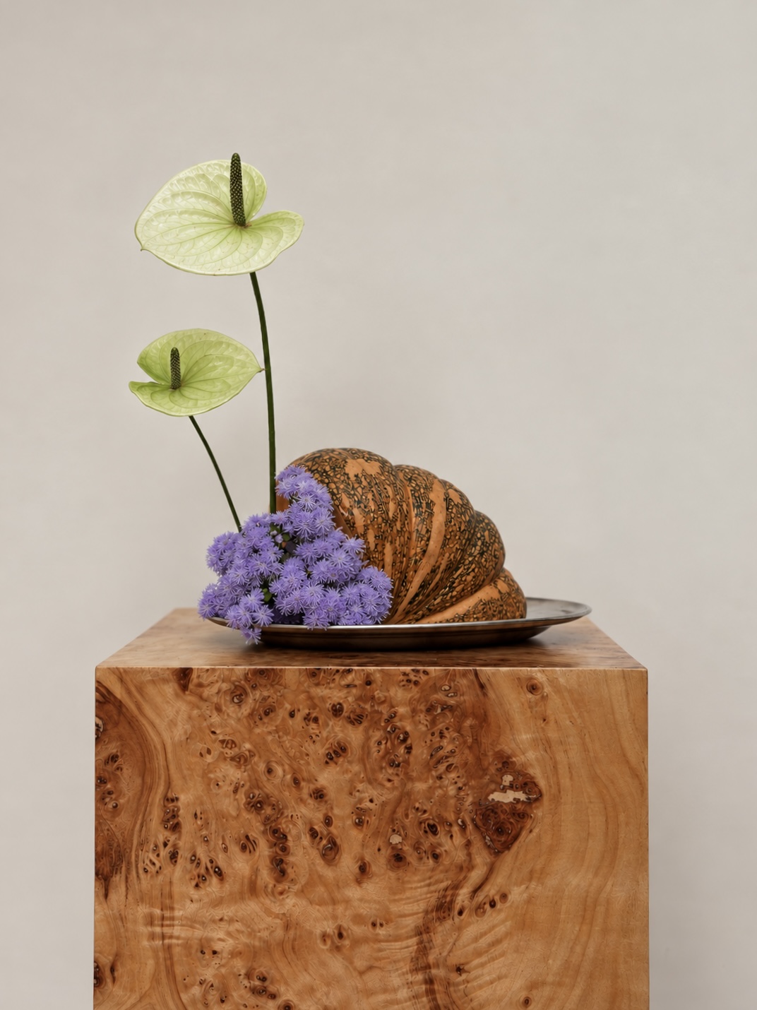 Pumpkin and botanical materials arranged together